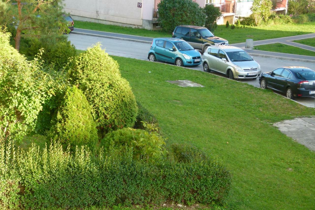 Apartament Bb Czarny Potok Ii * Krynica Zdroj